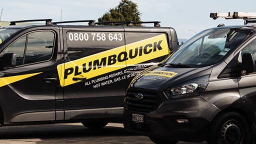 Professional Boulcott Plumbers